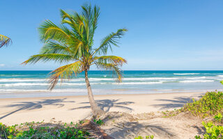 RÉVEILLON MIL SORRISOS (BARA GRANDE | BAHIA)