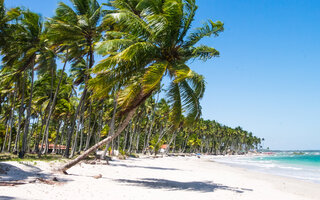 RÉVEILLON CARNEIROS 2019 (PRAIA DOS CARNEIROS | PERNAMBUCO)