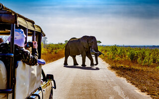 PARQUE NACIONAL KRUGER