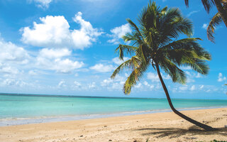 PRAIA DO PATACHO (ALAGOAS)