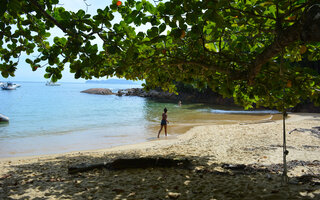 ILHA ANCHIETA, UBATUBA