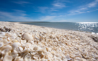 Shell Beach, Austrália Ocidental | Austrália