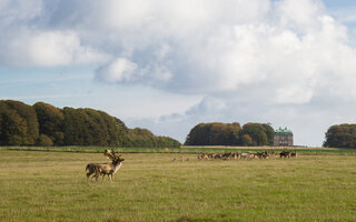 Jaegersborg Dyrehave