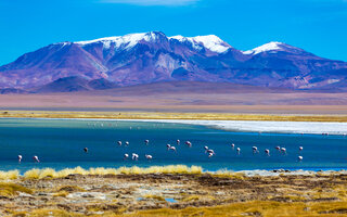 DESERTO DO ATACAMA