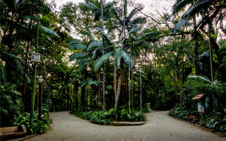 CAMINHAR PELO PARQUE TRIANON