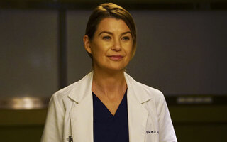 Grey's Anatomy: Temporada 14 | Série