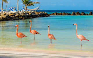 FLAMINGO BEACH