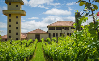 VALE DOS VINHEDOS, BRASIL