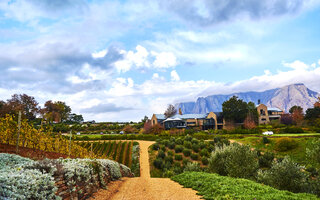 STELLENBOSCH, ÁFRICA DO SUL