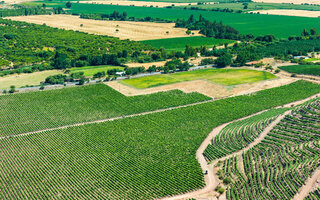 VALLE COLCHAGUA, CHILE