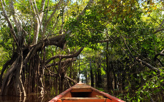 AMAZÔNIA