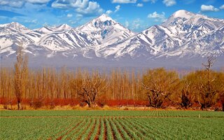 MENDOZA, ARGENTINA