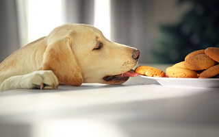 Biscoito caseiro