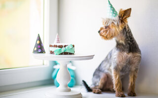Bolo de aniversário