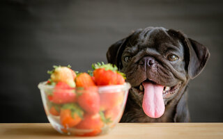 Salada de fruta