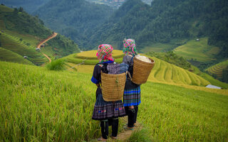 HA GIANG