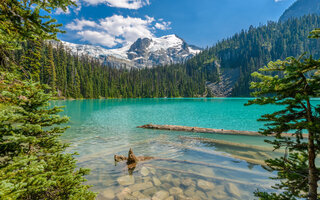 LAGO JOFFRE