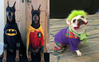 BATMAN, ROBIN E CORINGA