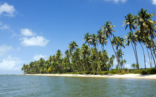 PRAIA DOS CARNEIROS | TAMARANDÉ, PE