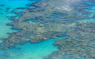 HANAUMA BAY (OAHU)