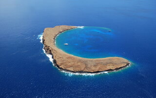 MOLOKINI (MAUI)