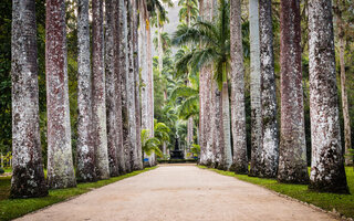 EXPLORAR O JARDIM BOTÂNICO