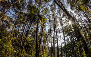 PARQUE ESTADUAL DA CANTAREIRA