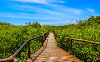 PARQUE ESTADUAL ILHA DO CARDOSO