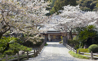 Peregrinação de Shikoku | Japão