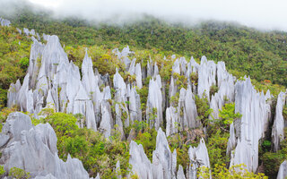 Gunung Mulu