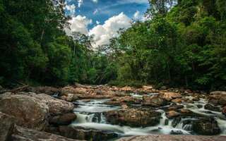 Taman Negara