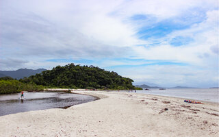 Ilha do Cardoso, Cananéia