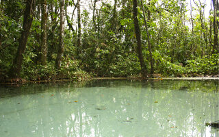 Areia Que Canta - Brotas (SP)