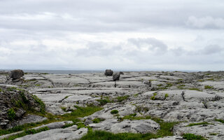 Parque Nacional de Burren