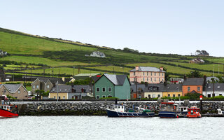 Dingle