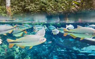 BONITO, MATO GROSSO DO SUL