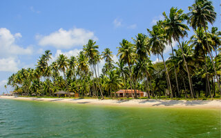 CARNEIROS, PERNAMBUCO