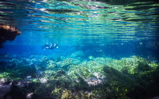 Bonito, Mato Grosso do Sul | Brasil