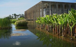 FILME PAISAGEM, um olhar sobre Roberto Burle Marx