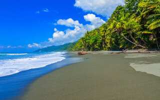 Corcovado | Costa Rica