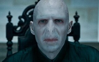 Franquia Harry Potter - Lord Voldemort (Ralph Fiennes)