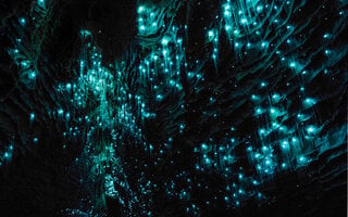 Glowworm Caves | Waikato, Nova Zelândia