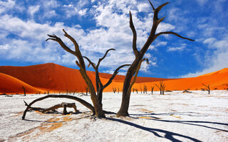 Parque Namib Naukluft | Namíbia