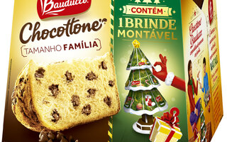 Chocottone e Panettone 750g