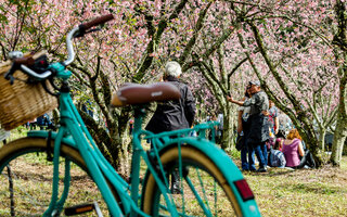 Parque do Carmo