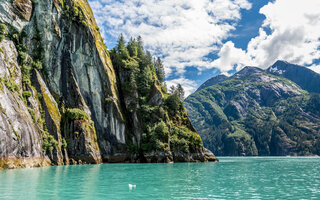 Tracy Arm Fjord