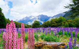 PARQUE NACIONAL FIORDLAND (NOVA ZELÂNDIA)