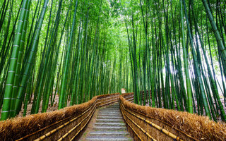 ARASHIYAMA