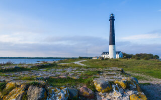 Saaremaa | Estônia