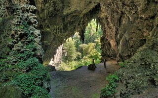 PARQUE ESTADUAL ALTO DO RIBEIRA [SÃO PAULO]